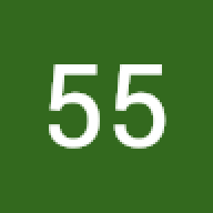 55 55